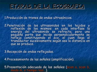 E TAPAS DE LA ECOGRAFÍA 1.Producción de trenes de ondas ultrasónicos. 2.Penetración de los ultrasonidos en los tejidos y reflexión de los mismos: en cada interfase la energía del ultrasonido se refracta, pero una pequeña parte que incide perpendicularmente se refleja constituyendo el eco, el cuan llega al transductor sucesivamente según sea la distancia en que se produce. 3.Recepción de ondas reflejadas. 4.Procesamiento de las señales (amplificación). 5.Presentación adecuada de las señales ( scan a, scan b, modo m, a tiempo real… ). 