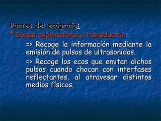 Partes del ec ó gra f o : * Sonda exploratoria o transductor : => Recoge la información mediante la  emisión de pulsos de ultrasonidos. => Recoge los ecos que emiten dichos  pulsos cuando chocan con interfases  reflectantes, al atravesar distintos  medios físicos. 