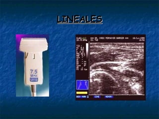 LINEALES 