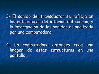 3- El sonido del transductor se refleja en las estructuras del interior del cuerpo, y la información de los sonidos es analizada por una computadora. 4- La computadora entonces crea una imagen de estas estructuras en una pantalla. 
