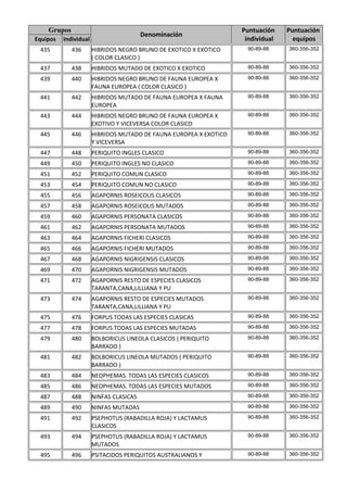 Grupos                                                          Puntuación    Puntuación
                                         Denominación
Equipos   Individual                                                 individual     equipos
 435         436       HIBRIDOS NEGRO BRUNO DE EXOTICO X EXOTICO      90-89-88    360-356-352
                       ( COLOR CLASICO )
 437         438       HIBRIDOS MUTADO DE EXOTICO X EXOTICO           90-89-88    360-356-352

 439         440       HIBRIDOS NEGRO BRUNO DE FAUNA EUROPEA X        90-89-88    360-356-352
                       FAUNA EUROPEA ( COLOR CLASICO )
 441         442       HIBRIDOS MUTADO DE FAUNA EUROPEA X FAUNA       90-89-88    360-356-352
                       EUROPEA
 443         444       HIBRIDOS NEGRO BRUNO DE FAUNA EUROPEA X        90-89-88    360-356-352
                       EXOTIVO Y VICEVERSA COLOR CLASICO
 445         446       HIBRIDOS MUTADO DE FAUNA EUROPEA X EXOTICO     90-89-88    360-356-352
                       Y VICEVERSA
 447         448       PERIQUITO INGLES CLASICO                       90-89-88    360-356-352

 449         450       PERIQUITO INGLES NO CLASICO                    90-89-88    360-356-352

 451         452       PERIQUITO COMUN CLASICO                        90-89-88    360-356-352

 453         454       PERIQUITO COMUN NO CLASICO                     90-89-88    360-356-352

 455         456       AGAPORNIS ROSEICOLIS CLASICOS                  90-89-88    360-356-352

 457         458       AGAPORNIS ROSEICOLIS MUTADOS                   90-89-88    360-356-352

 459         460       AGAPORNIS PERSONATA CLASICOS                   90-89-88    360-356-352

 461         462       AGAPORNIS PERSONATA MUTADOS                    90-89-88    360-356-352

 463         464       AGAPORNIS FICHERI CLASICOS                     90-89-88    360-356-352

 465         466       AGAPORNIS FICHERI MUTADOS                      90-89-88    360-356-352

 467         468       AGAPORNIS NIGRIGENSIS CLASICOS                 90-89-88    360-356-352

 469         470       AGAPORNIS NIGRIGENSIS MUTADOS                  90-89-88    360-356-352

 471         472       AGAPORNIS RESTO DE ESPECIES CLASICOS           90-89-88    360-356-352
                       TARANTA,CANA,LILLIANA Y PU
 473         474       AGAPORNIS RESTO DE ESPECIES MUTADOS            90-89-88    360-356-352
                       TARANTA,CANA,LILLIANA Y PU
 475         476       FORPUS TODAS LAS ESPECIES CLASICAS             90-89-88    360-356-352

 477         478       FORPUS TODAS LAS ESPECIES MUTADAS              90-89-88    360-356-352

 479         480       BOLBORICUS LINEOLA CLASICOS ( PERIQUITO        90-89-88    360-356-352
                       BARRADO )
 481         482       BOLBORICUS LINEOLA MUTADOS ( PERIQUITO         90-89-88    360-356-352
                       BARRADO )
 483         484       NEOPHEMAS. TODAS LAS ESPECIES CLASICOS         90-89-88    360-356-352

 485         486       NEOPHEMAS. TODAS LAS ESPECIES MUTADOS          90-89-88    360-356-352

 487         488       NINFAS CLASICAS                                90-89-88    360-356-352

 489         490       NINFAS MUTADAS                                 90-89-88    360-356-352

 491         492       PSEPHOTUS (RABADILLA ROJA) Y LACTAMUS          90-89-88    360-356-352
                       CLASICOS
 493         494       PSEPHOTUS (RABADILLA ROJA) Y LACTAMUS          90-89-88    360-356-352
                       MUTADOS
 495         496       PSITACIDOS PERIQUITOS AUSTRALIANOS Y           90-89-88    360-356-352
 