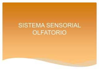 SISTEMA SENSORIAL
OLFATORIO
 