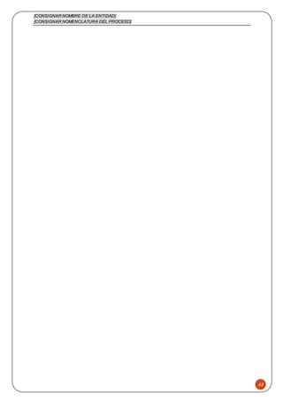 [CONSIGNAR NOMBRE DE LA ENTIDAD]
[CONSIGNAR NOMENCLATURA DEL PROCESO]
48
 