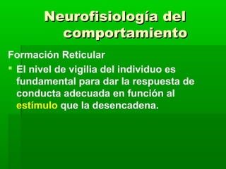 Neurofisiología del
         comportamiento
Formación Reticular
 El nivel de vigilia del individuo es
  fundamental para dar la respuesta de
  conducta adecuada en función al
  estímulo que la desencadena.
 