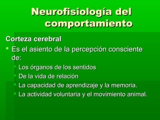 Neurofisiología del
            comportamiento
Corteza cerebral
 Es el asiento de la percepción consciente
  de:
     Los órganos de los sentidos
     De la vida de relación
     La capacidad de aprendizaje y la memoria.
     La actividad voluntaria y el movimiento animal.
 