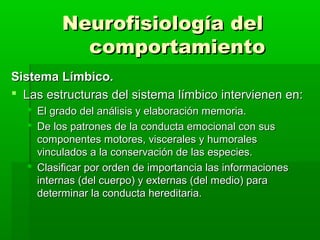 Neurofisiología del
           comportamiento
Sistema Límbico.
 Las estructuras del sistema límbico intervienen en:
   El grado del análisis y elaboración memoria.
   De los patrones de la conducta emocional con sus
    componentes motores, viscerales y humorales
    vinculados a la conservación de las especies.
   Clasificar por orden de importancia las informaciones
    internas (del cuerpo) y externas (del medio) para
    determinar la conducta hereditaria.
 