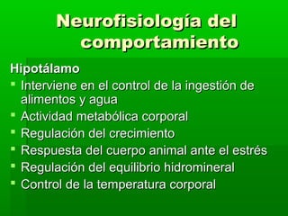 Neurofisiología del
         comportamiento
Hipotálamo
 Interviene en el control de la ingestión de
  alimentos y agua
 Actividad metabólica corporal
 Regulación del crecimiento
 Respuesta del cuerpo animal ante el estrés
 Regulación del equilibrio hidromineral
 Control de la temperatura corporal
 