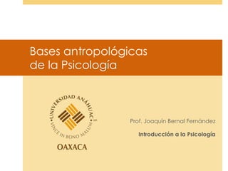 Bases antropológicas
de la Psicología

Prof. Joaquín Bernal Fernández

Introducción a la Psicología

 