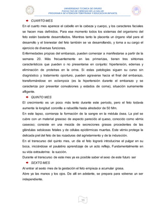 UNIVERSIDAD TÉCNICA DE ORURO
FACULTAD DE CIENCIAS DE LA SALUD
PROGRAM A DE ATENCIÓN TEM PRANA Y EDUCACIÓN INFANTIL
10
CUARTO MES
En el cuarto mes aparece el cabello en la cabeza y cuerpo, y los caracteres faciales
se hacen mas definidos. Para ese momento todos los sistemas del organismo del
feto están bastante desarrollados. Mientras tanto la placenta un órgano vital para el
desarrollo y el bienestar del feto también se va desarrollando, y toma a su cargo el
ejercicio de diversas funciones.
Enfermedades propias del embarazo, pueden comenzar a manifestarse a partir de la
semana 20. Más frecuentemente en las primerizas, tienen tres síntomas
característicos que pueden o no presentarse en conjunto: hipertensión, edemas y
eliminación de proteínas en la orina. Si estas patologías siguen su curso sin
diagnóstico y tratamiento oportuno, pueden agravarse hacia el final del embarazo,
transformándose en eclampsia (es la hipertensión durante el embarazo y se
caracteriza por presentar convulsiones y estados de coma), situación sumamente
afligente.
QUINTO MES
El crecimiento es un poco más lento durante este periodo, pero el feto todavía
aumenta la longitud coronilla a rabadilla hasta alrededor de 50 Mm.
En este lapso, comienza la formación de la sangre en la médula ósea. La piel se
cubre con un material grasoso de aspecto parecido al queso, conocido como vérnix
caseoso; consiste en una mezcla de secreciones grasas procedentes de las
glándulas sebáceas fetales y de células epidérmicas muertas. Este vérnix protege la
delicada piel del feto de las rozaduras del agrietamiento y de la induración.
En el transcurso del quinto mes, un día el feto logrará introducirse el pulgar en su
boca, iniciándose el paulatino aprendizaje de un acto reflejo, Fundamentalmente en
su vida extrauterina: la succión.
Durante el transcurso de este mes ya es posible saber el sexo de este futuro ser
SEXTO MES
Al entrar al sexto mes de la gestación el feto empieza a acumular grasa.
Abre ya las manos y los ojos. De allí en adelante, se prepara para volverse un ser
independiente.
 