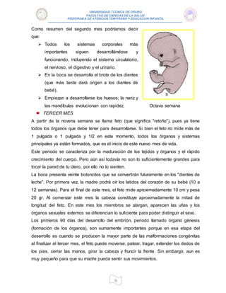 UNIVERSIDAD TÉCNICA DE ORURO
FACULTAD DE CIENCIAS DE LA SALUD
PROGRAM A DE ATENCIÓN TEM PRANA Y EDUCACIÓN INFANTIL
9
Como resumen del segundo mes podríamos decir
que:
 Todos los sistemas corporales más
importantes siguen desarrollándose y
funcionando, incluyendo el sistema circulatorio,
el nervioso, el digestivo y el urinario.
 En la boca se desarrolla el brote de los dientes
(que más tarde dará origen a los dientes de
bebé).
 Empiezan a desarrollarse los huesos; la nariz y
las mandíbulas evolucionan con rapidez. Octava semana
TERCER MES
A partir de la novena semana se llama feto (que significa "retoño"), pues ya tiene
todos los órganos que debe tener para desarrollarse. Si bien el feto no mide más de
1 pulgada o 1 pulgada y 1/2 en este momento, todos los órganos y sistemas
principales ya están formados, que es el inicio de este nuevo mes de vida.
Este periodo se caracteriza por la maduración de los tejidos y órganos y el rápido
crecimiento del cuerpo. Pero aún así todavía no son lo suficientemente grandes para
tocar la pared de tu útero, por ello no lo sienten.
La boca presenta veinte botoncitos que se convertirán futuramente en los "dientes de
leche". Por primera vez, la madre podrá oír los latidos del corazón de su bebé (10 a
12 semanas). Para el final de este mes, el feto mide aproximadamente 10 cm y pesa
20 gr. Al comenzar este mes la cabeza constituye aproximadamente la mitad de
longitud del feto. En este mes los miembros se alargan, aparecen las uñas y los
órganos sexuales externos se diferencian lo suficiente para poder distinguir el sexo.
Los primeros 90 días del desarrollo del embrión, periodo llamado órgano génesis
(formación de los órganos), son sumamente importantes porque en esa etapa del
desarrollo es cuando se producen la mayor parte de las malformaciones congénitas
al finalizar el tercer mes, el feto puede moverse, patear, tragar, extender los dedos de
los pies, cerrar las manos, girar la cabeza y fruncir la frente. Sin embargo, aun es
muy pequeño para que su madre pueda sentir sus movimientos.
 