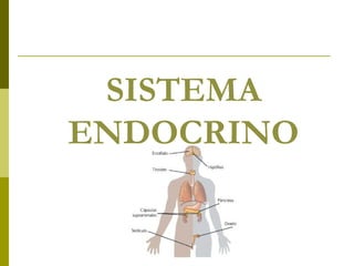 SISTEMA
ENDOCRINO

 