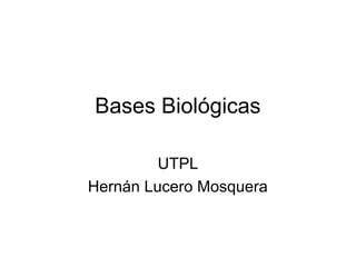 Bases Biológicas

         UTPL
Hernán Lucero Mosquera
 