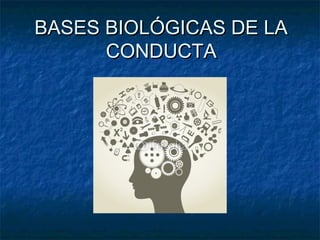 BASES BIOLÓGICAS DE LABASES BIOLÓGICAS DE LA
CONDUCTACONDUCTA
 