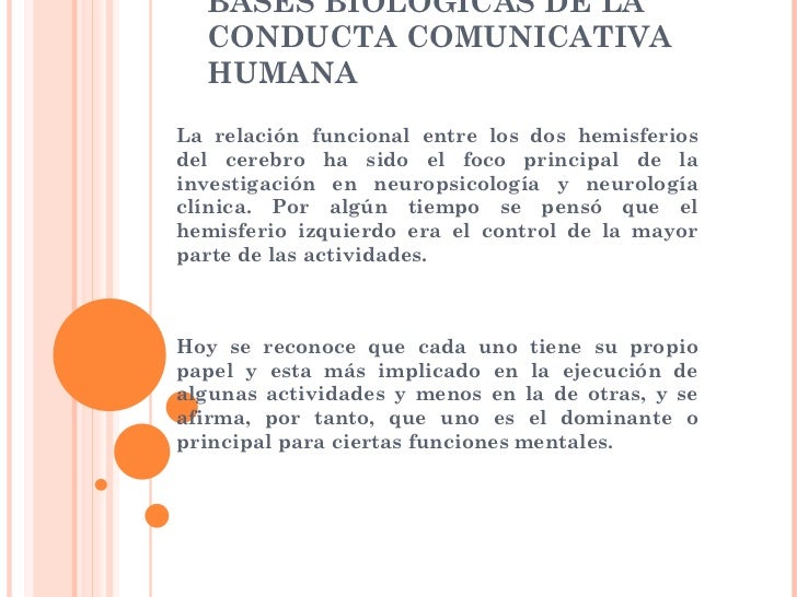 Resultado de imagen para ubicacion espacial comunicativa biologica