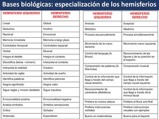 Funciones espaciales y sensoriales. 
Domina la percepción, la conducta emocional, comunicación no verbal, gestual. 
Bases biológicas: especialización de los hemisferios 
HEMISFERIO IZQUIERDO 
HEMISFERIO DERECHO 
Lineal 
Global 
Deductivo 
Intuitivo 
Racional 
Emocional 
Memoria inmediata 
Memoria a largo plazo 
Controlador temporal 
Controlador espacial 
Verbal 
Musical 
Integra el detalle 
Integra el contexto 
Decodifica (letras –número) 
Interpreta el contexto 
Interpreta la realidad 
Creativo 
Actividad de vigilia 
Actividad de sueño 
Identifica palabras 
Identifica patrones 
Asigna significado 
Asigna valor 
Sigue reglas y horario detallado 
Sigue impulsos 
Emocionalidad positiva 
Emocionalidad negativa 
Analiza símbolos 
Sintetiza sensaciones 
Crítico 
Soñador 
Ordenado 
Espontáneo 
HEMISFERIO IZQUIERDO 
HEMISFERIO DERECHO 
Ansioso 
Suspicaz 
Metódico 
Aleatorio 
Procesa secuencialmente 
Procesa simultáneamente 
Movimiento de la mano derecha 
Movimiento mano izquierda 
Control del lenguaje (A. Broca) 
Reconocimiento de las figuras y de su posición en el espacio 
Comprensión de palabras (A. Wernicke) 
Comprensión musical 
Control de la información que llega a través del campo visual derecho. 
Control de la información que llega a través del campo visual izquierdo 
Reconocimiento de caracteres alfabéticos 
Control de la información que llega a través de la mímica facial 
Prefiere la música clásica 
Prefiere el Rock and Roll 
Prefiere instrucciones verbales 
Prefiere instrucciones visuales con ejemplos 
Bueno en matemáticas 
Bueno para el deporte  