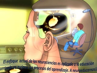 Bases biológicas del aprendizaje