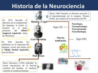 Historia de la Neurociencia 
En 1861 describe los problemas en la expresión del lenguaje, revela una lesión en el lóbulo frontal izquierdo, área de Broca. 
Paul Broca 
Carl Wernicke 
Ramón y Cajal 
En 1874 describe el deterioro de la comprensión del lenguaje, la lesión se localiza en la parte posterior del lóbulo temporal izquierdo, (área de Wernicke). 
René Descartes (1596) defendió la teoría mecanicista de la función cerebral del hombre, el intelecto controla la conducta humana. 
Hacia 1890 formuló su doctrina neuronal y el descubrimiento de la sinapsis. Premio Nobel por estudio de la estructura del SN. 
Neurología, Neuropsicología, Neuroanatomía Neurofisiología. 
Siglo XX 
Nuevas tendencias 
Siglo XXI  