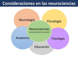 Consideraciones en las neurociencias 
Neurología 
Educación 
Psicología 
Anatomía 
Fisiología 
Neurociencias 
TRANSDISCIPLINARIAS  