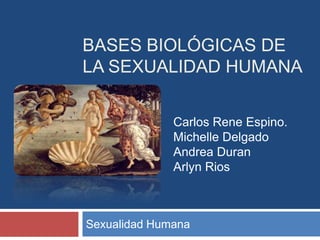 BASES BIOLÓGICAS DE
LA SEXUALIDAD HUMANA


              Carlos Rene Espino.
              Michelle Delgado
              Andrea Duran
              Arlyn Rios



Sexualidad Humana
 
