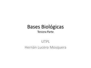 Bases Biológicas
      Tercera Parte


         UTPL
Hernán Lucero Mosquera
 