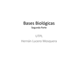 Bases Biológicas
      Segunda Parte


         UTPL
Hernán Lucero Mosquera
 