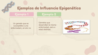 Ejemplos de Influencia Epigenética
Gemelos que
desarrollan la misma
enfermedad, pero a
edad distintas.
Ejemplo 1 Ejemplo 2
Un gemelo que es
susceptible a una
enfermedad y el otro no
 