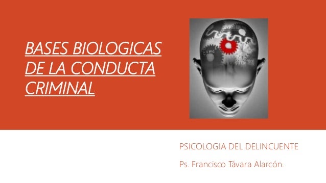 Bases biologicas