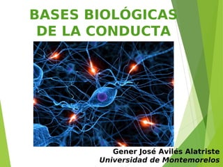 BASES BIOLÓGICAS
DE LA CONDUCTA
Gener José Avilés Alatriste
Universidad de Montemorelos
 