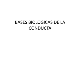 BASES BIOLOGICAS DE LA CONDUCTA 