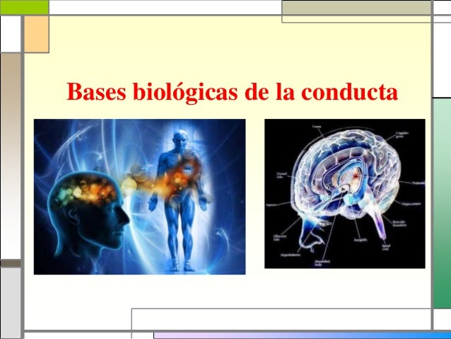 Bases biologicas de la conducta