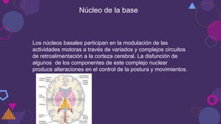 Núcleo de la base
Los núcleos basales participan en la modulación de las
actividades motoras a través de variados y complejos circuitos
de retroalimentación a la corteza cerebral. La disfunción de
algunos de los componentes de este complejo nuclear
produce alteraciones en el control de la postura y movimientos.
 