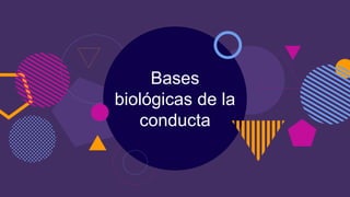 Bases
biológicas de la
conducta
 