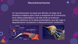Neurotransmisores
Un neurotransmisor es aquel que difunde a lo largo de la
hendidura sináptica para unirse a receptores de la membrana
de la célula postsináptica y de este modo se producen
cambios eléctricos en la célula postsináptica, que dan lugar a
despolarización (excitación) o hiperpolarización (inhibición).
 