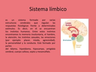 Sistema límbico
es un sistema formado por varias
estructuras cerebrales que regulan las
respuestas fisiológicas frente a determinados
estímulos. Es decir, en él se encuentran
los instintos humanos. Entre estos instintos
encontramos la memoria involuntaria, el hambre,
la atención, los instintos sexuales, las emociones
(por ejemplo: placer, miedo, agresividad),
la personalidad y la conducta. Está formado por
partes
del tálamo, hipotálamo, hipocampo, amígdala
cerebral, cuerpo calloso, septo y mesencéfalo.
 