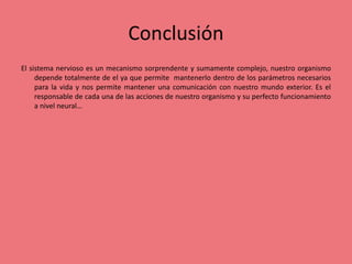 Conclusión
El sistema nervioso es un mecanismo sorprendente y sumamente complejo, nuestro organismo
depende totalmente de el ya que permite mantenerlo dentro de los parámetros necesarios
para la vida y nos permite mantener una comunicación con nuestro mundo exterior. Es el
responsable de cada una de las acciones de nuestro organismo y su perfecto funcionamiento
a nivel neural…
 