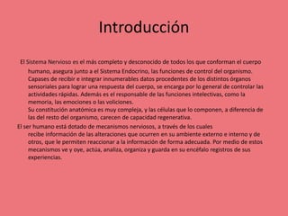 Introducción
El Sistema Nervioso es el más completo y desconocido de todos los que conforman el cuerpo
humano, asegura junto a el Sistema Endocrino, las funciones de control del organismo.
Capases de recibir e integrar innumerables datos procedentes de los distintos órganos
sensoriales para lograr una respuesta del cuerpo, se encarga por lo general de controlar las
actividades rápidas. Además es el responsable de las funciones intelectivas, como la
memoria, las emociones o las voliciones.
Su constitución anatómica es muy compleja, y las células que lo componen, a diferencia de
las del resto del organismo, carecen de capacidad regenerativa.
El ser humano está dotado de mecanismos nerviosos, a través de los cuales
recibe información de las alteraciones que ocurren en su ambiente externo e interno y de
otros, que le permiten reaccionar a la información de forma adecuada. Por medio de estos
mecanismos ve y oye, actúa, analiza, organiza y guarda en su encéfalo registros de sus
experiencias.
 