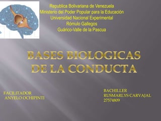 Republica Bolivariana de Venezuela
Ministerio del Poder Popular para la Educación
Universidad Nacional Experimental
Rómulo Gallegos
Guárico-Valle de la Pascua
FACILITADOR
ANYELO OCHIPINTI
BACHILLER
RUSMARLYS CARVAJAL
27574809
 