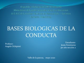 BASES BIOLOGICAS DE LA
CONDUCTA
Estudiante:
Jesús Fenómeno
3er año sección 2
Valle de la pascua, mayo 2020
Profesor:
Angelo Ochipinti
 