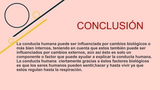 CONCLUSIÓN
La conducta humana puede ser influenciada por cambios biológicos o
más bien internos, teniendo en cuenta que estos también puede ser
influenciados por cambios externos, aún así ésto es solo un
componente o factor que puede ayudar a explicar la conducta humana.
La conducta humana ciertamente gracias a éstos factores biológicos
es que los seres humanos pueden sentir,hacer y hasta vivir ya que
estos regulan hasta la respiración.
 