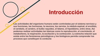 Introducción
Las actividades del organismo humano están controladas por el sistema nervioso y
sus funciones, las hormonas, la neurona, los nervios, la médula espinal, el encéfalo,
el cerebelo, el cerebro, el bulbo raquídeo, el tálamo, el hipotálamo, entre otras. Así
podemos realizar actividades tan básicas como la reproducción, el crecimiento, el
metabolismo, la respiración, la excitación y la contracción. La estrecha relación que
existe entre los fenómenos psicológicos y los biológicos permite comprender los
procesos que constituyen la conducta
 