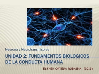 UNIDAD 2: FUNDAMENTOS BIOLOGICOS
DE LA CONDUCTA HUMANA
Neurona y Neurotransmisores
ESTHER ORTEGA ROBAINA (2013)
 
