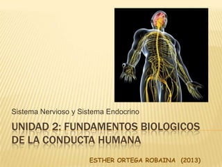 UNIDAD 2: FUNDAMENTOS BIOLOGICOS
DE LA CONDUCTA HUMANA
Sistema Nervioso y Sistema Endocrino
ESTHER ORTEGA ROBAINA (2013)
 