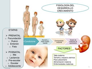 FISIOLOGÍA DEL
DESARROLLO
CRECIMIENTO

ETAPAS
 PRENATAL
o Fecundación
o Huevo
o Embrión
o Feto
 POSNATAL
o RN
o Lactancia
o Pre-escolar
o Escolar
o Adolescente

Condiciona

Tamaño y
Peso recién
nacido

Composición
corporal

Grado de
madurez al
nacimiento

FACTORES
Talla materna
Tamaño y espacio uterinos
Peso placentario
Alimentación materna
Enfermedades maternas
9

 