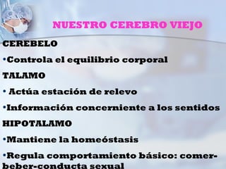 NUESTRO CEREBRO VIEJO
CEREBELO
•Controla el equilibrio corporal
TALAMO
• Actúa estación de relevo
•Información concerniente a los sentidos
HIPOTALAMO
•Mantiene la homeóstasis
•Regula comportamiento básico: comer-
beber-conducta sexual
 
