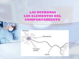 LAS NEURONAS
LOS ELEMENTOS DEL
COMPORTAMIENTO
 