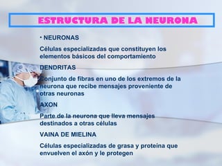 ESTRUCTURA DE LA NEURONA
• NEURONAS
Células especializadas que constituyen los
elementos básicos del comportamiento
DENDRITAS
Conjunto de fibras en uno de los extremos de la
neurona que recibe mensajes proveniente de
otras neuronas
AXON
Parte de la neurona que lleva mensajes
destinados a otras células
VAINA DE MIELINA
Células especializadas de grasa y proteína que
envuelven el axón y le protegen
 