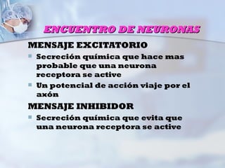 ENCUENTRO DE NEURONAS
MENSAJE EXCITATORIO
   Secreción química que hace mas
    probable que una neurona
    receptora se active
   Un potencial de acción viaje por el
    axón
MENSAJE INHIBIDOR
   Secreción química que evita que
    una neurona receptora se active
 