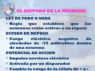 EL DISPARO DE LA NEURONA
LEY DE TODO O NADA
 Regla   que    establece   que     las
  neuronas están activas o en reposo
ESTADO DE REPOSO
 Carga    eléctrica    negativa      de
  alrededor de -70 milivoltios dentro
  de una neurona
POTENCIAL DE ACCION
 Impulso nervioso eléctrico
 Activada por un disparador
 Cambia la carga de la célula de + a -
 