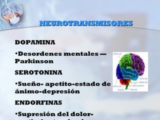 NEUROTRANSMISORES

DOPAMINA
•Desordenes mentales —
Parkinson
SEROTONINA
•Sueño- apetito-estado de
ánimo-depresión
ENDORFINAS
•Supresión del dolor-
 