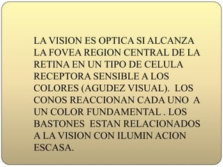 LA VISION ES OPTICA SI ALCANZA LA FOVEA REGION CENTRAL DE LA RETINA EN UN TIPO DE CELULA RECEPTORA SENSIBLE A LOS COLORES (AGUDEZ VISUAL).  LOS CONOS REACCIONAN CADA UNO  A UN COLOR FUNDAMENTAL . LOS BASTONES  ESTAN RELACIONADOS A LA VISION CON ILUMIN ACION ESCASA.